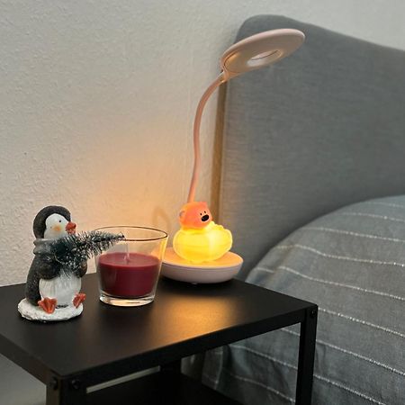 Appartement Au Coeur ستراسبورغ المظهر الخارجي الصورة