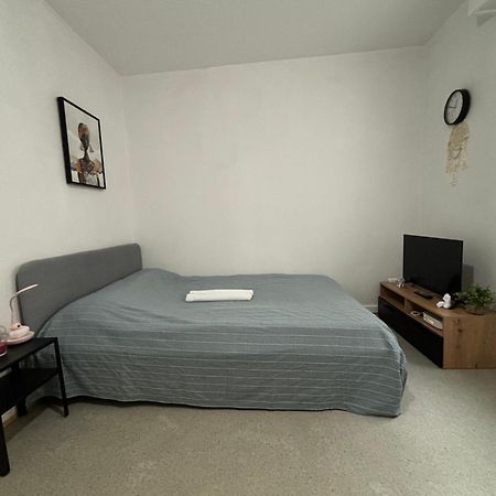 Appartement Au Coeur ستراسبورغ المظهر الخارجي الصورة